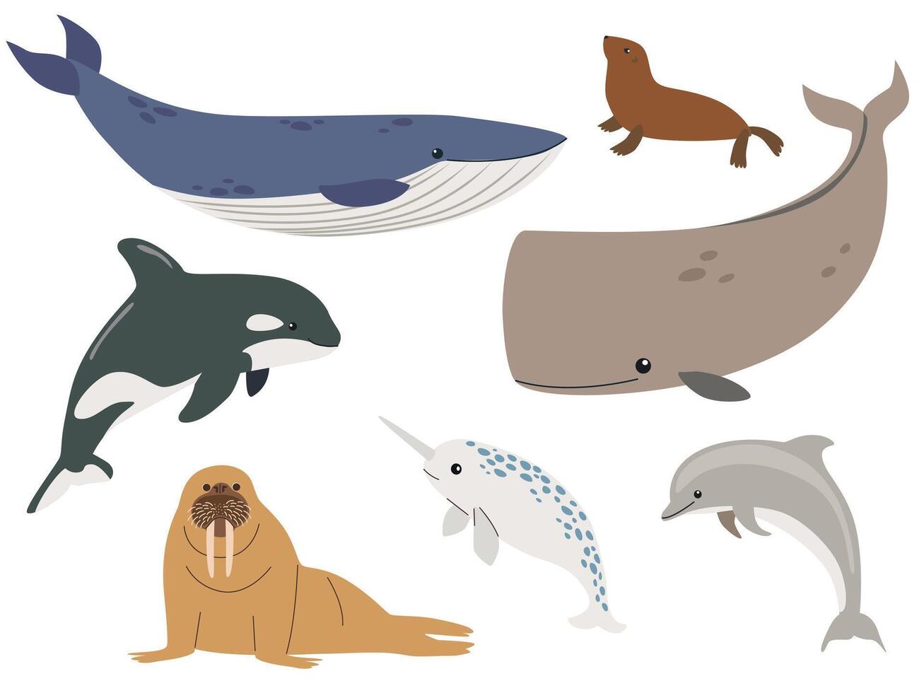 Set with hand drawn sea life mammals. cartoon set of sea animals objects for your design. Cartoon hand drawn style. vector
