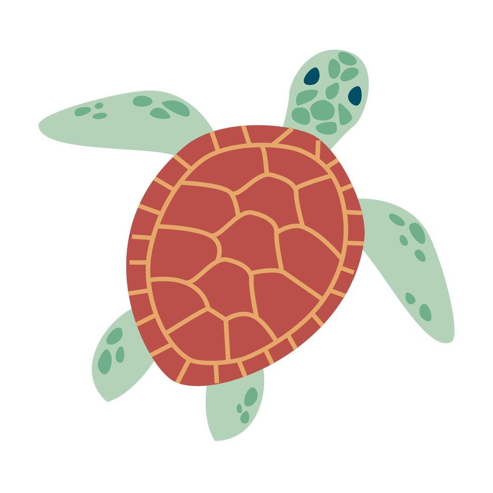 turtle hand drawing illustration on white background vector
