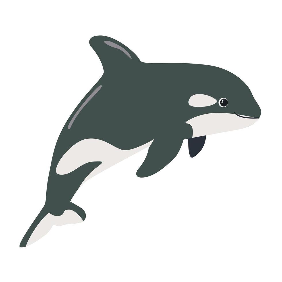 killer whale hand drawing illustration on white background vector