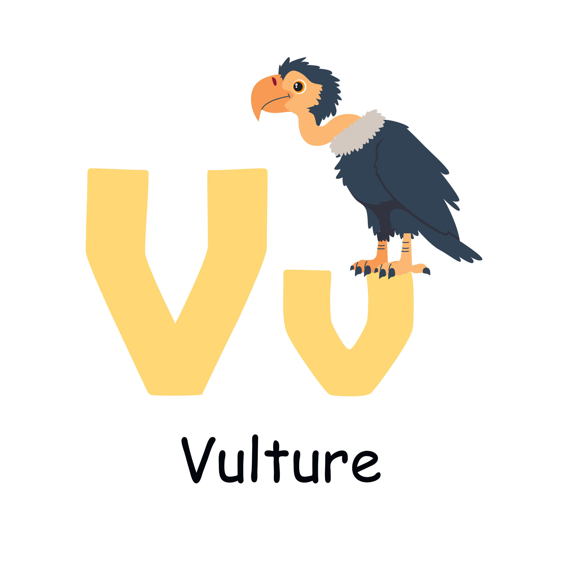 Cute animal alphabet for ABC book. V letter for the Vulture. 48768089