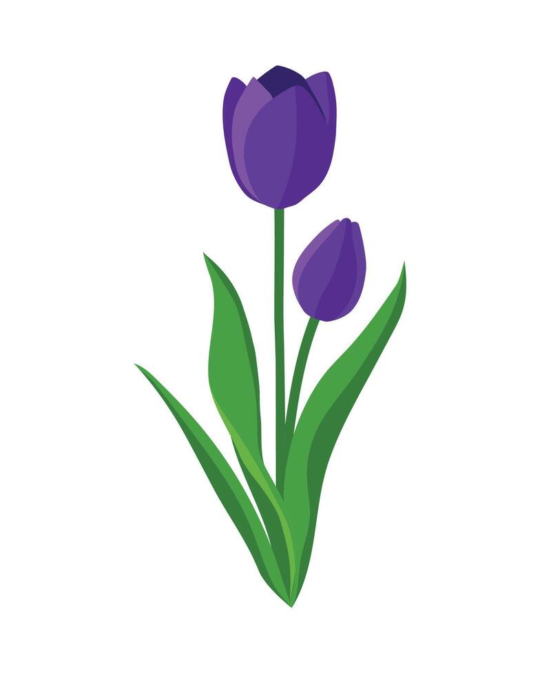 Beautiful tulip flower drawing art symbol vector
