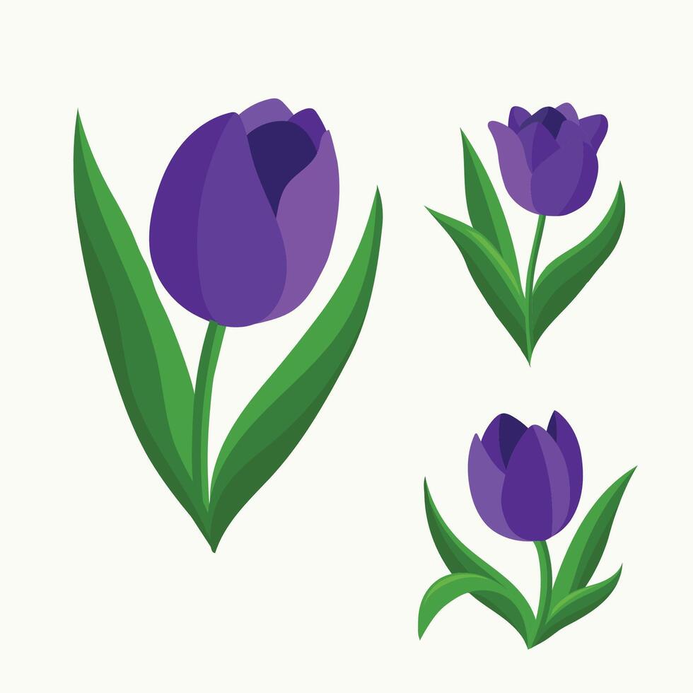 Beautiful tulip flower drawing art symbol vector