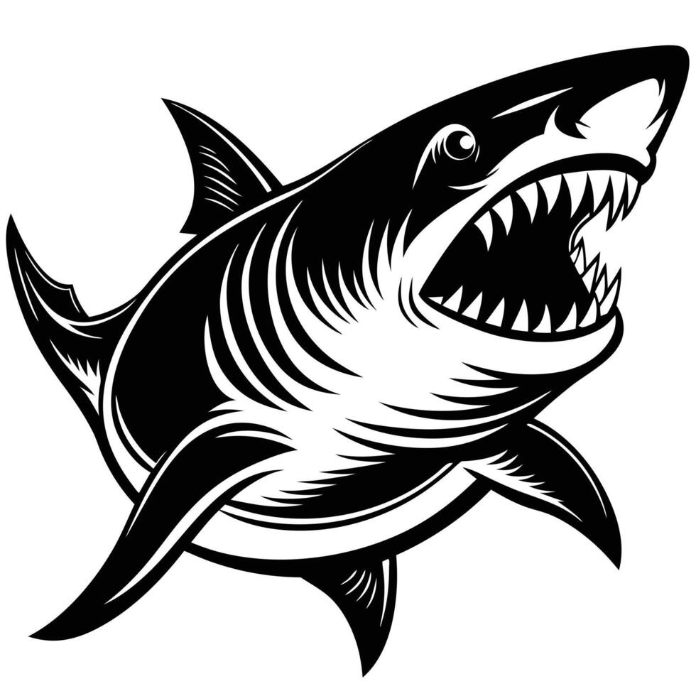 Black and white shark vector