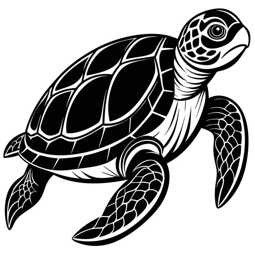 black and white Turtle vector