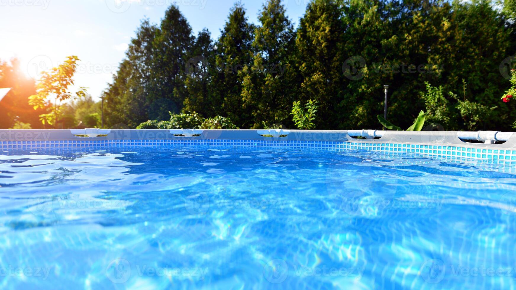 Natural garden with water pool. Garden on the background. Pool with clean water. photo
