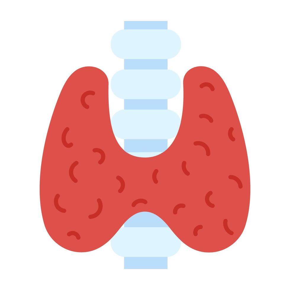 Human thyroid gland flat icon on transparent background vector