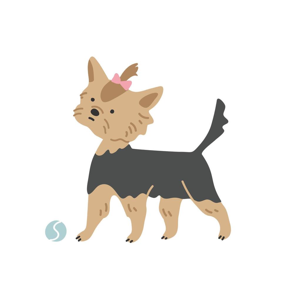Cute cartoon dog yorkshire terrier playing ball vector