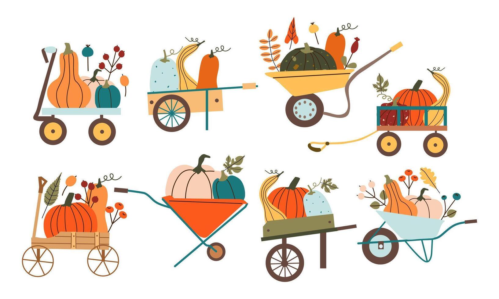 Wheelbarrow with colorful pumpkins. Autumn harvest. Preparation for Halloween. Autumn mood. Leaves fall. flat illustration isolate on white . vector