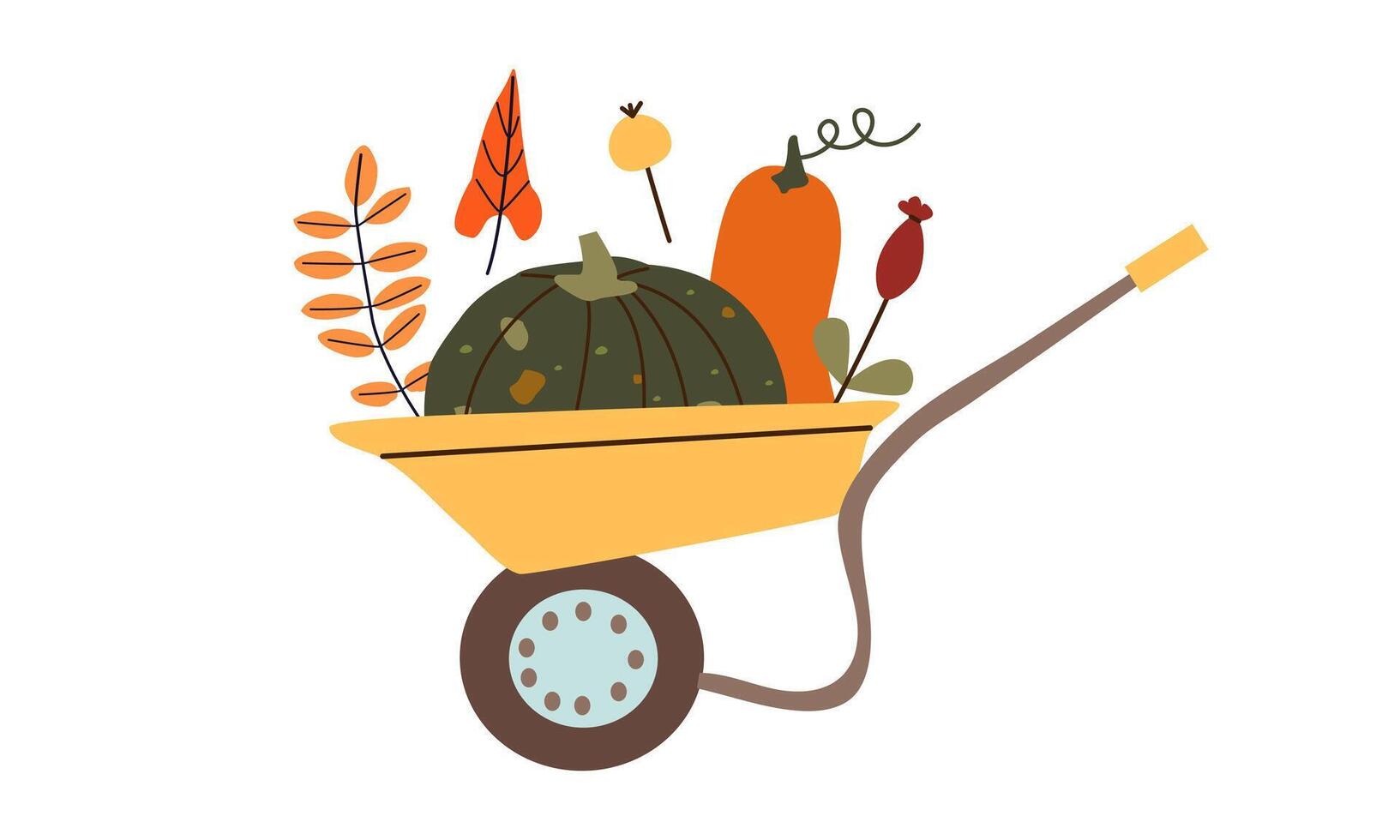 Wheelbarrow with colorful pumpkins. Autumn harvest. Preparation for Halloween. Autumn mood. Leaves fall. flat illustration isolate on white . vector