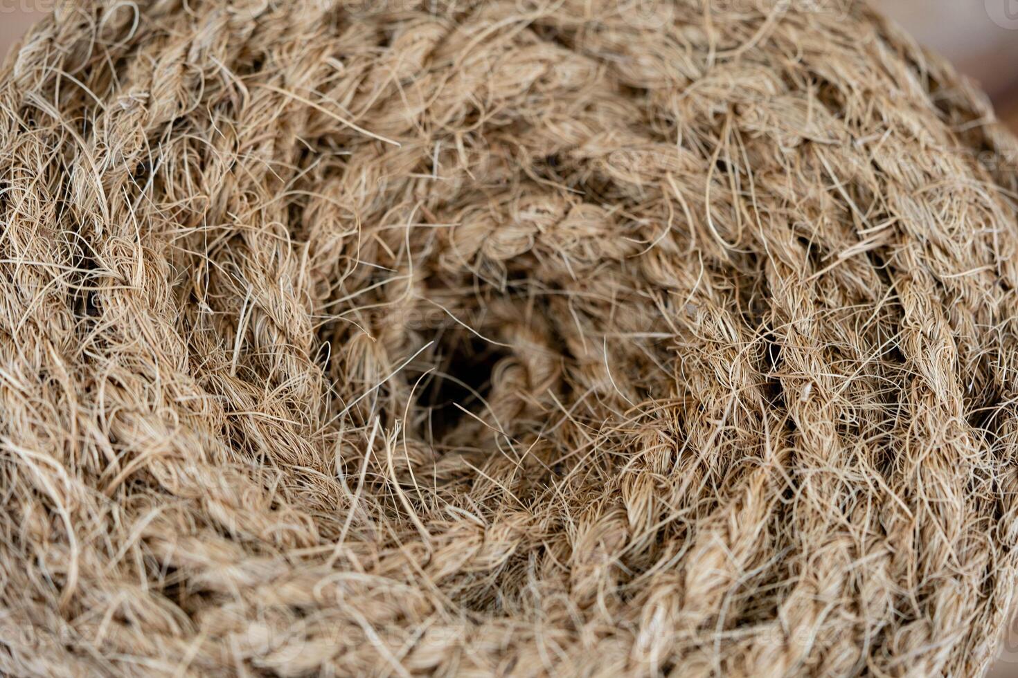 Copra dried pulp and ropes made from fibers of the coconut Cocos nucifera photo