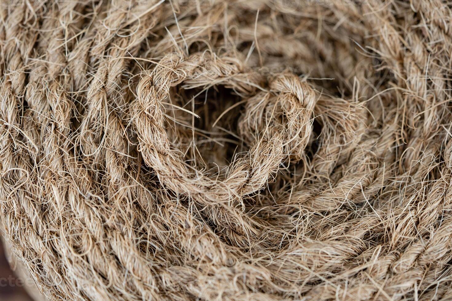 Copra dried pulp and ropes made from fibers of the coconut Cocos nucifera photo