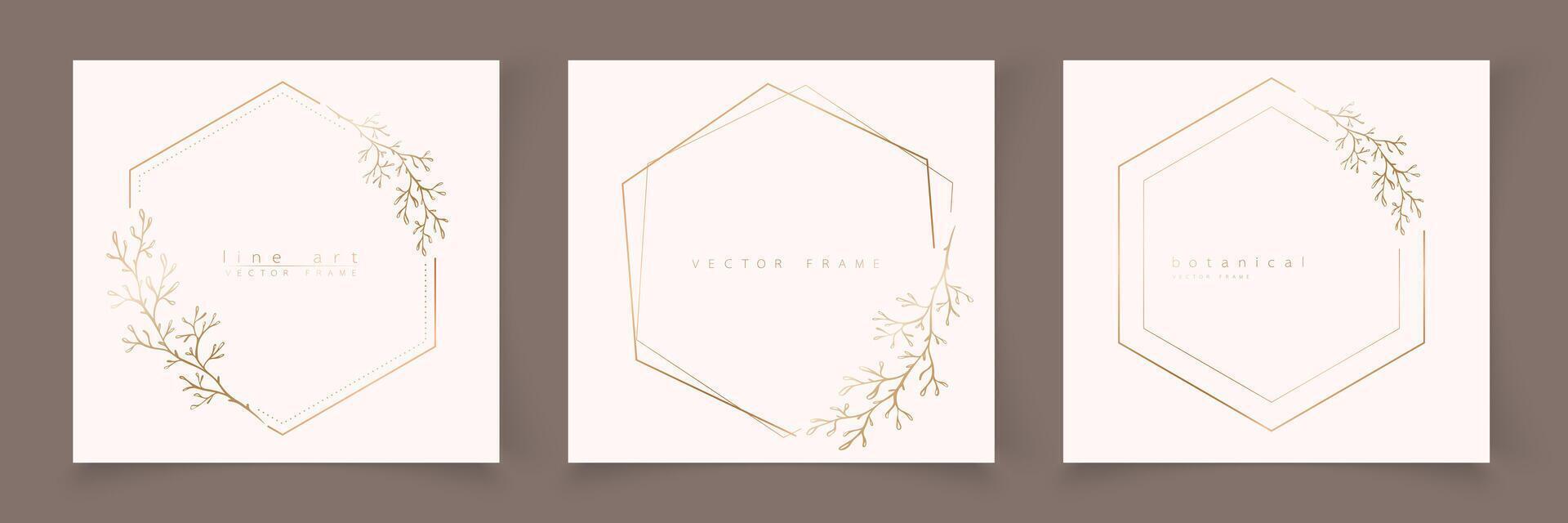 Set of hexagon frame template in minimal linear style with hand drawn branches and leaves. Elegant polygon frame. Botanical illustration for labels, corporate identity, wedding invitation, logo vector
