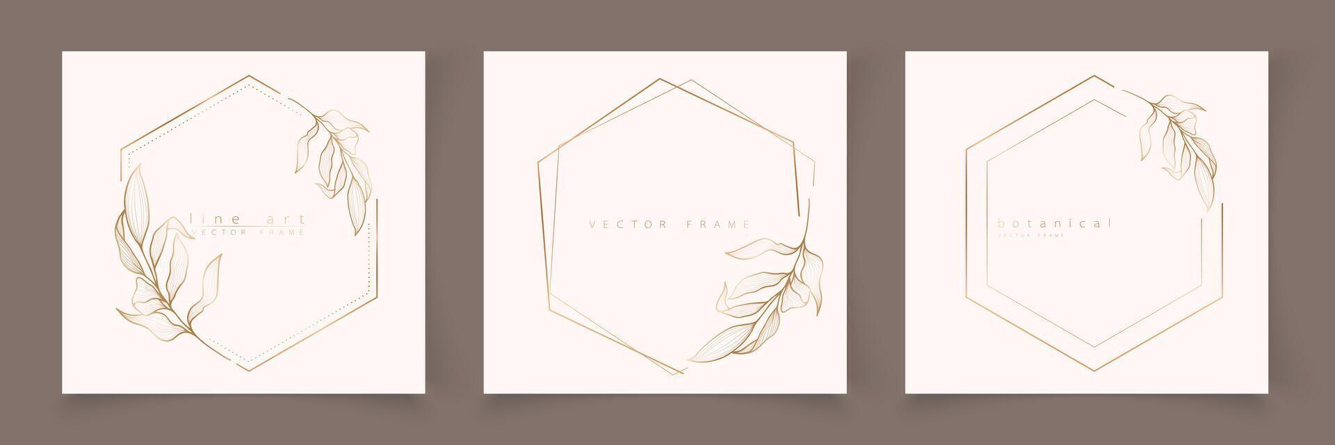 Set of hexagon frame template in minimal linear style with hand drawn branches and leaves. Elegant polygon frame. Botanical illustration for labels, corporate identity, wedding invitation, logo vector
