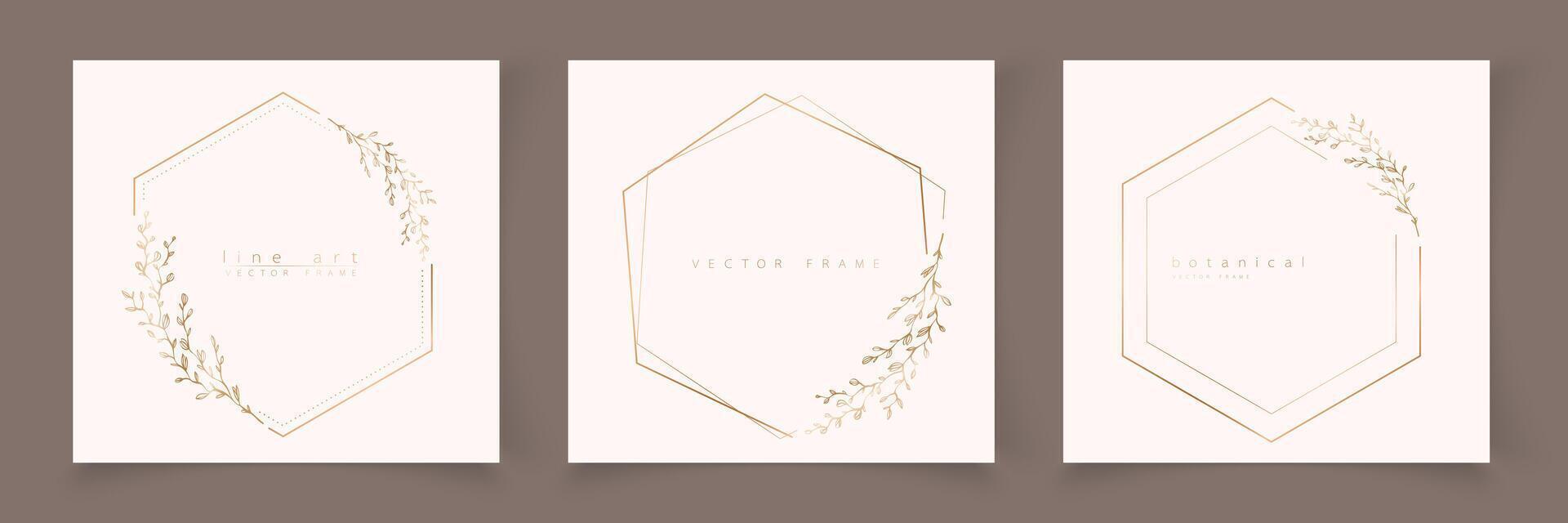 Set of hexagon frame template in minimal linear style with hand drawn branches and leaves. Elegant polygon frame. Botanical illustration for labels, corporate identity, wedding invitation, logo vector
