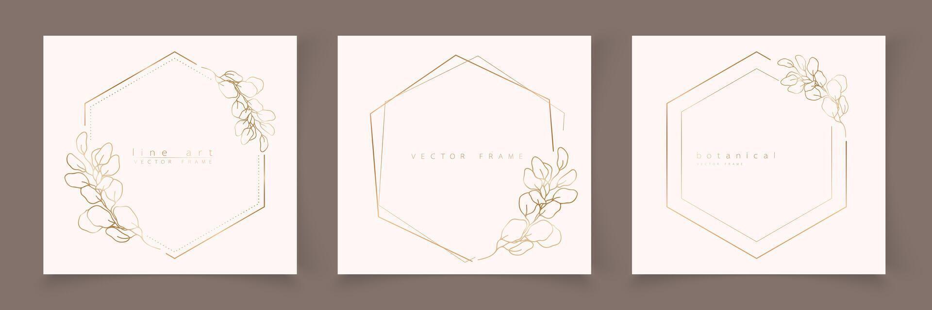 Set of hexagon frame template in minimal linear style with hand drawn branches and leaves. Elegant polygon frame. Botanical illustration for labels, corporate identity, wedding invitation, logo vector
