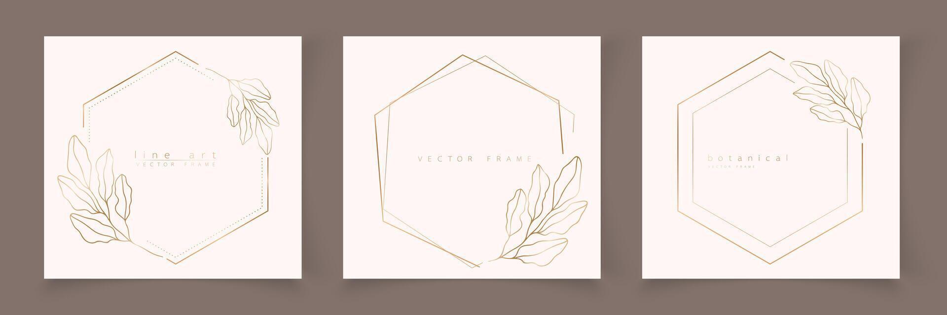 Set of hexagon frame template in minimal linear style with hand drawn branches and leaves. Elegant polygon frame. Botanical illustration for labels, corporate identity, wedding invitation, logo vector