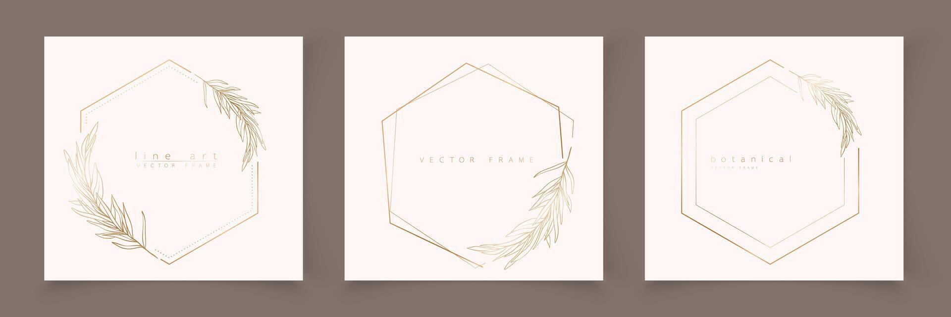 Set of hexagon frame template in minimal linear style with hand drawn branches and leaves. Elegant polygon frame. Botanical illustration for labels, corporate identity, wedding invitation, logo vector