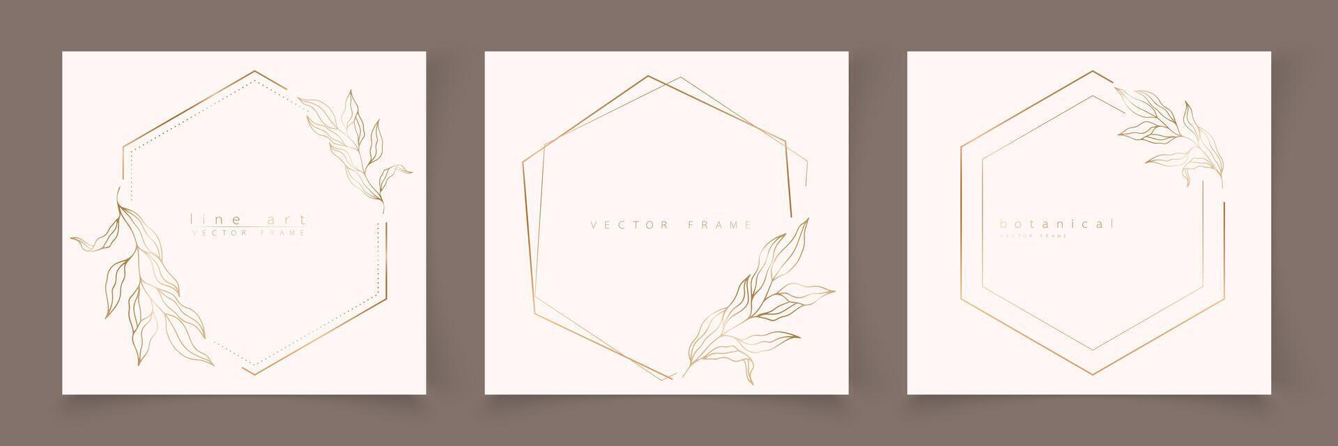 Set of hexagon frame template in minimal linear style with hand drawn branches and leaves. Elegant polygon frame. Botanical illustration for labels, corporate identity, wedding invitation, logo vector