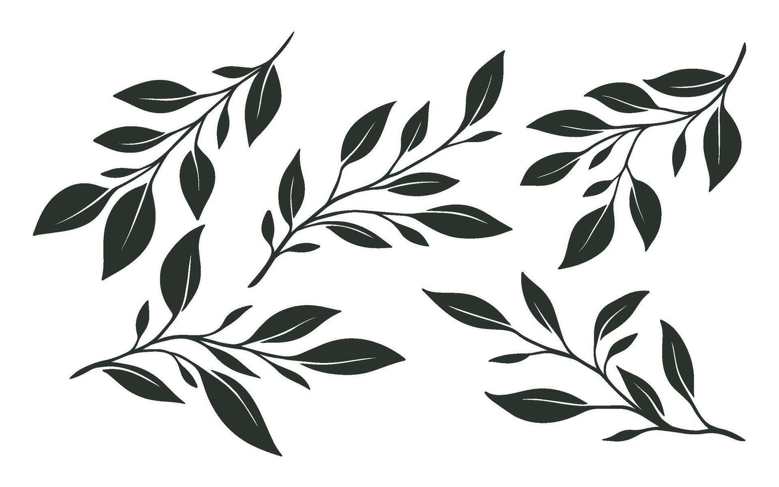 Leaf simple draw, simple illustration of leaf, leaf outline, artistic leaf vector