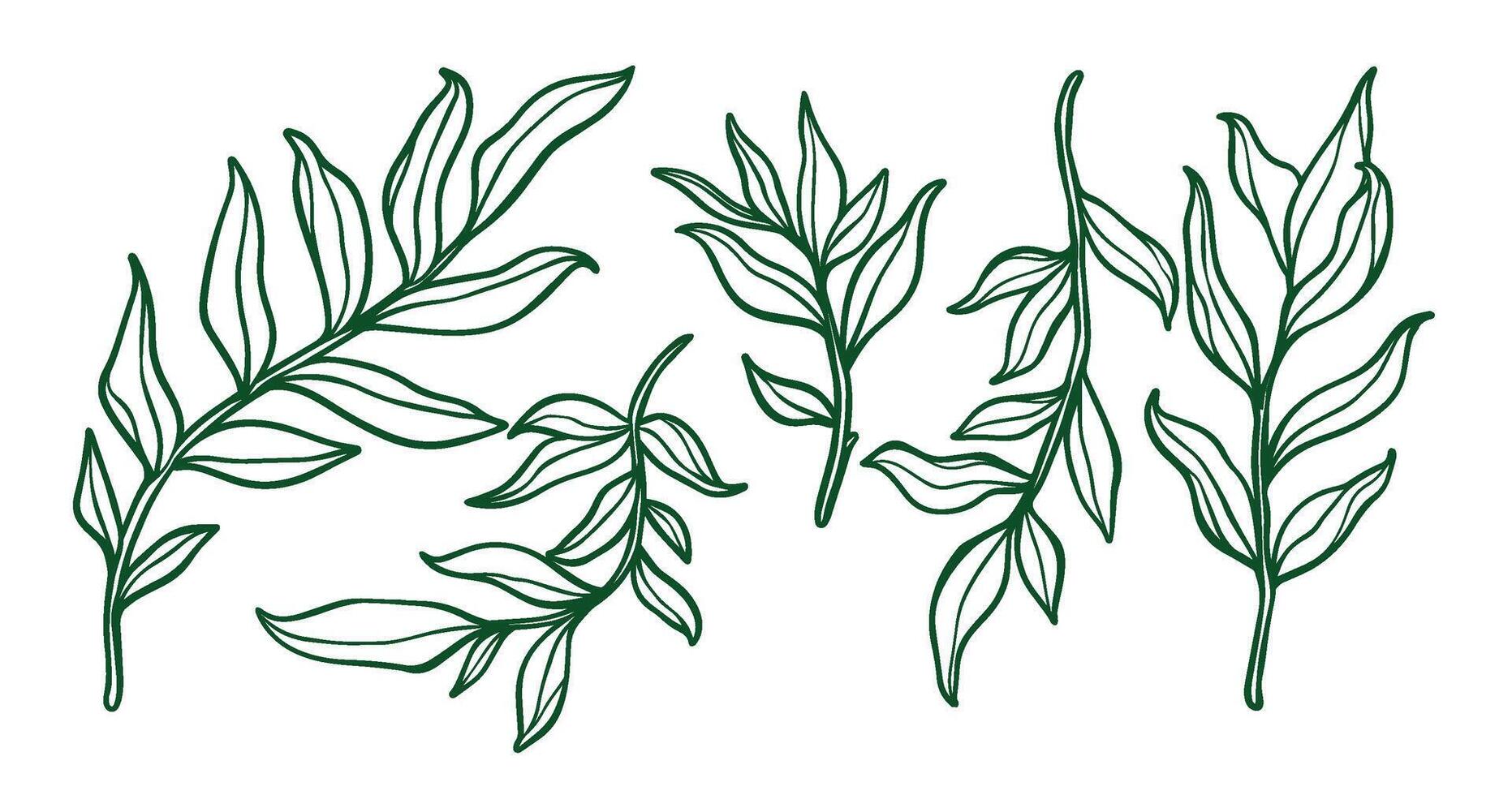 Leaf outline drawing, simple illustration of leaf, leaf draw, artistic leaf vector