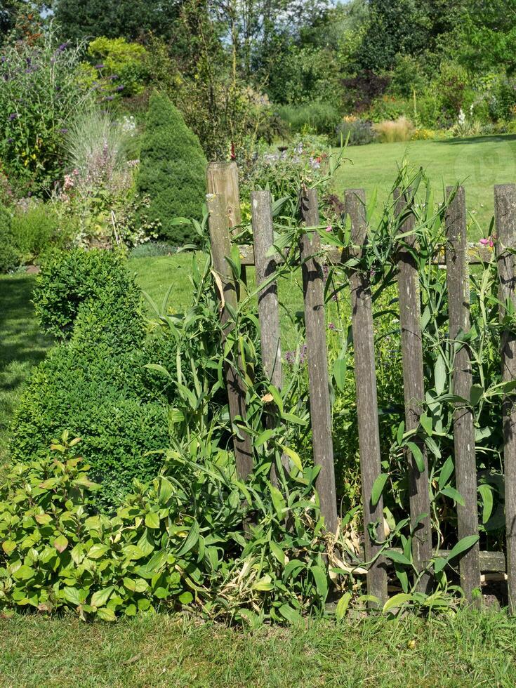 garden in the netherlands photo