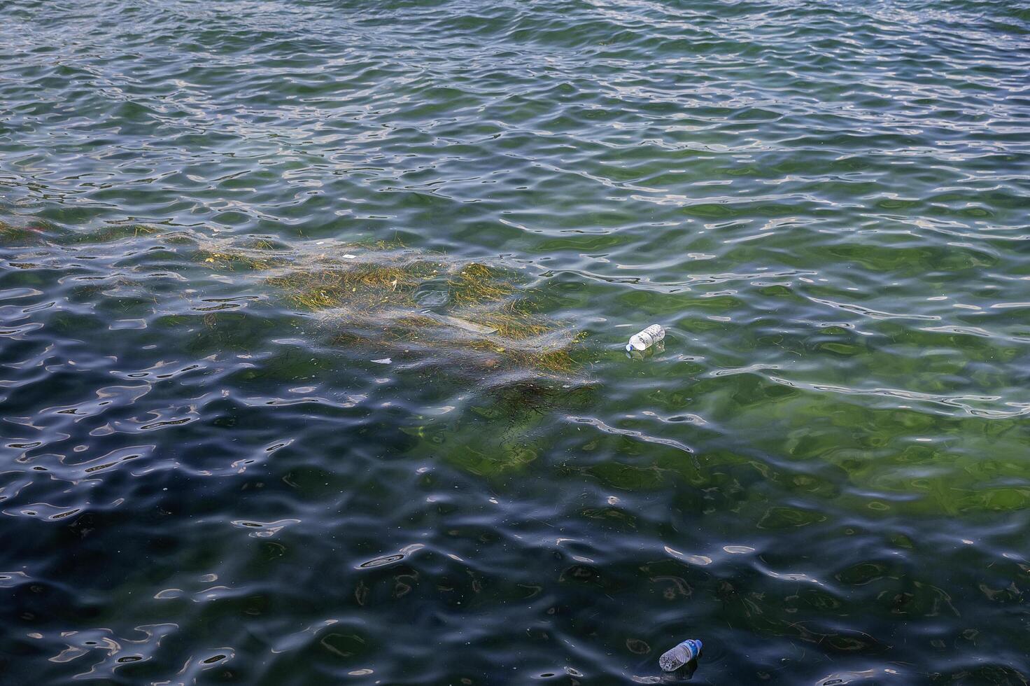 dirty sea ecolocy and garbage promlem photo