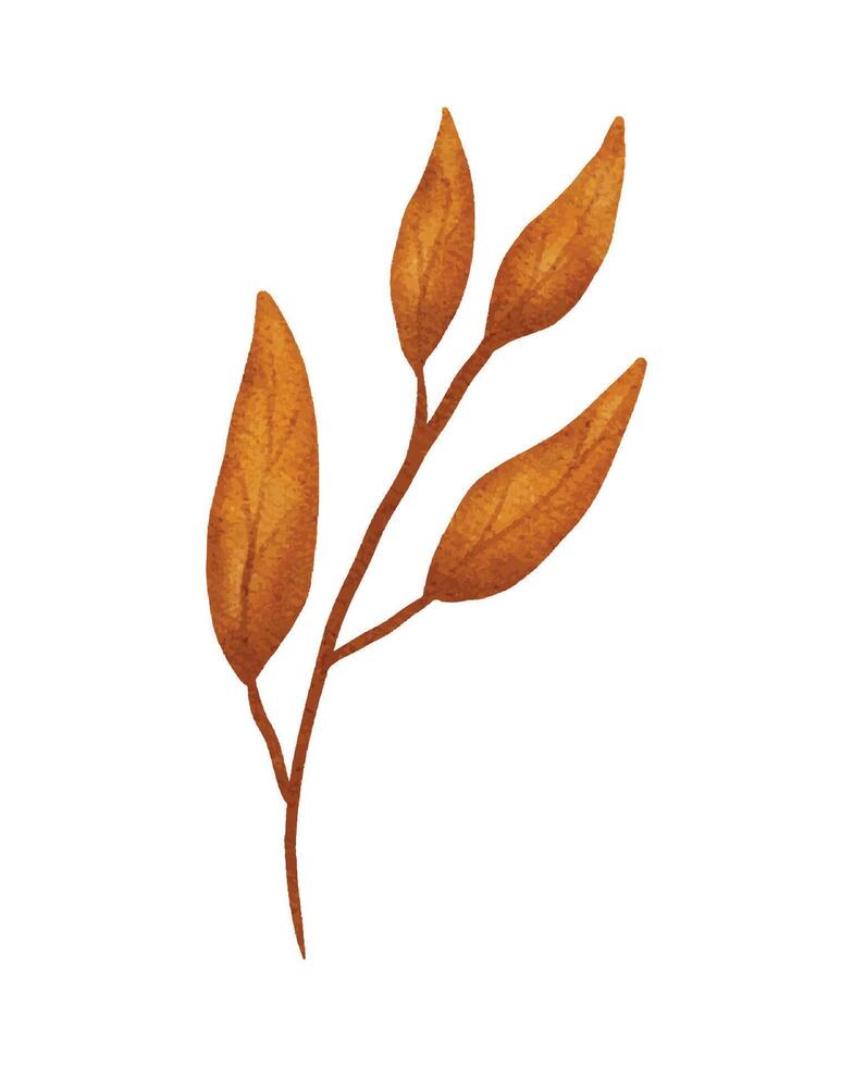 leaf Thanks giving watercolor element illustration vector