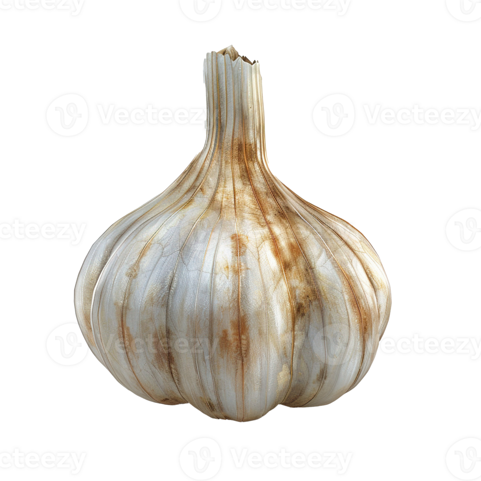 A Single, Close-Up, Isolated Garlic Bulb png