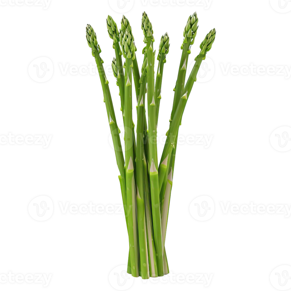 A closeup view of a bundle of fresh green asparagus spears png
