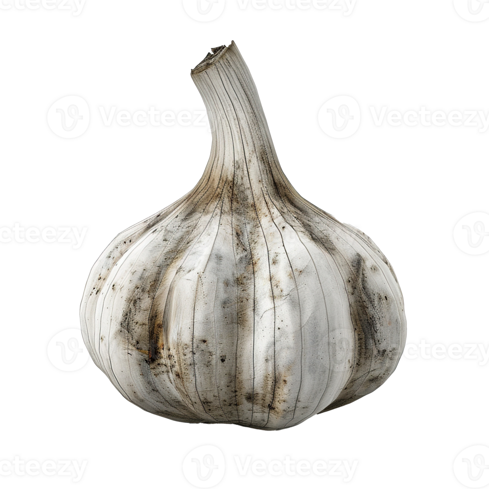 A Single, Moldy Garlic Bulb png