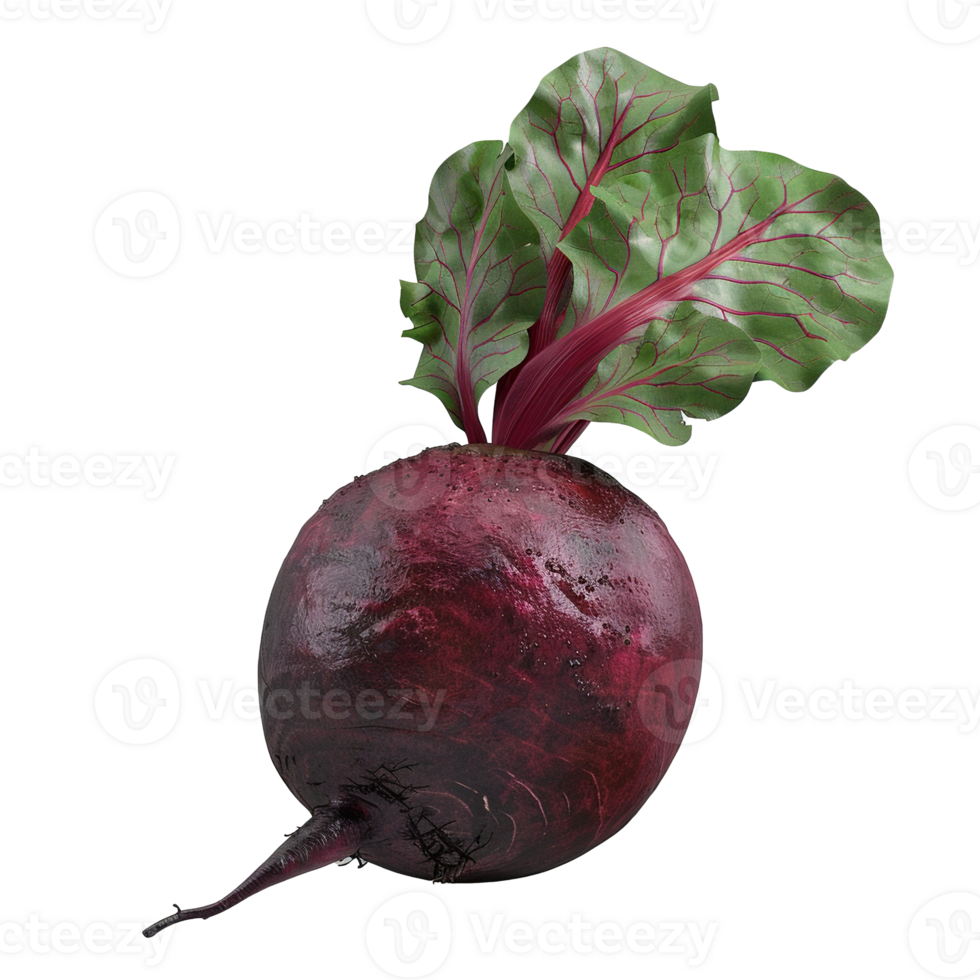 A Single Red Beet with Green Leaves png