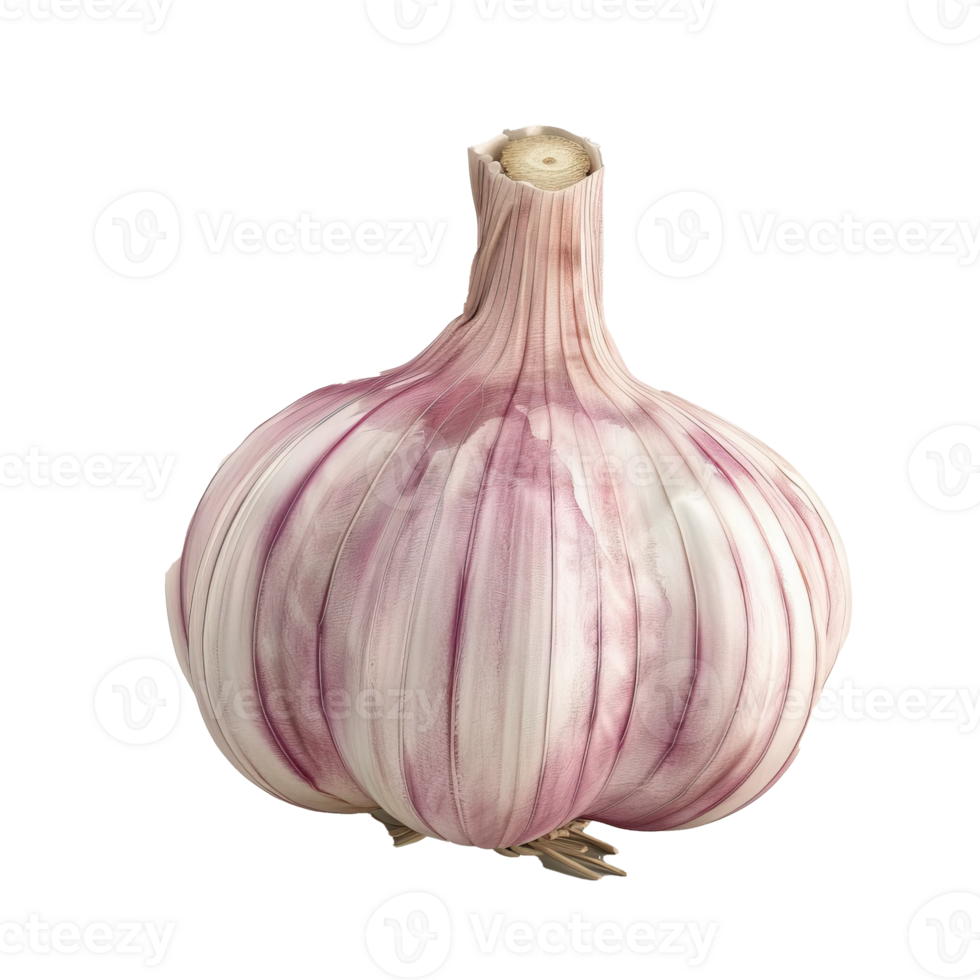 A Single, Whole Garlic Bulb With Purple Stripes png
