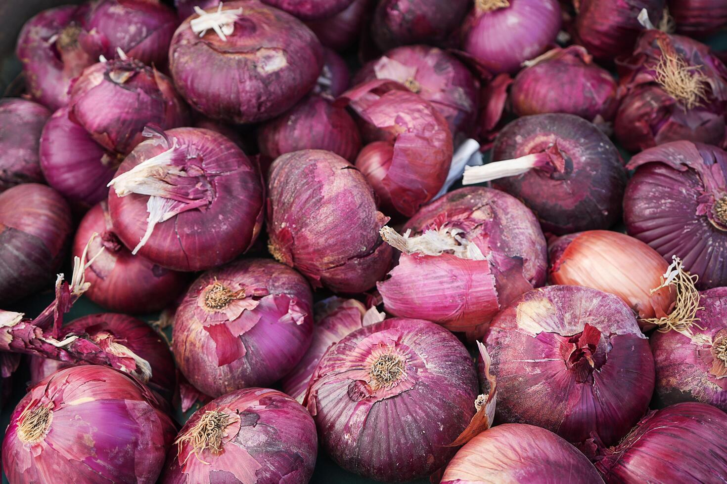 Fresh Red Onions photo