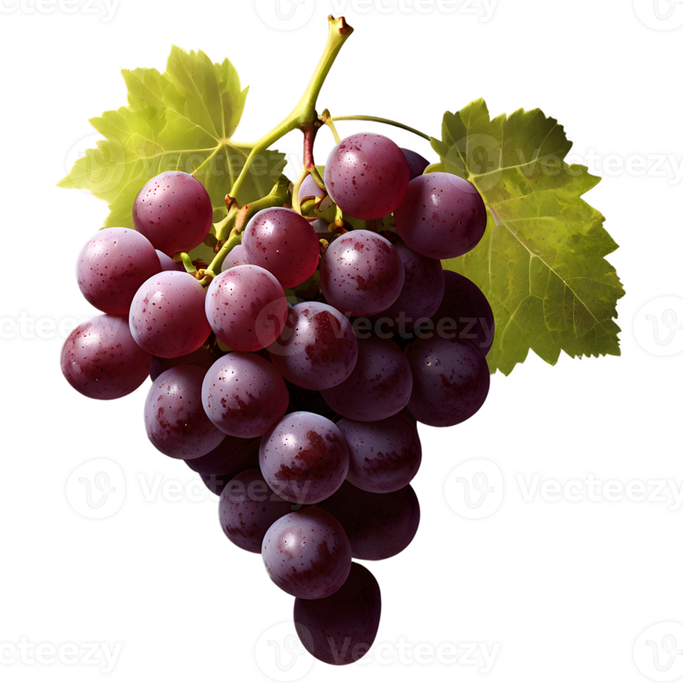 Bunch of red grapes with leaves isolated on transparent background png