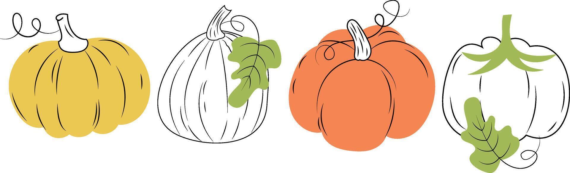 Pumpkin set. Harvest. Vegetable. Isolated on a white background. vector
