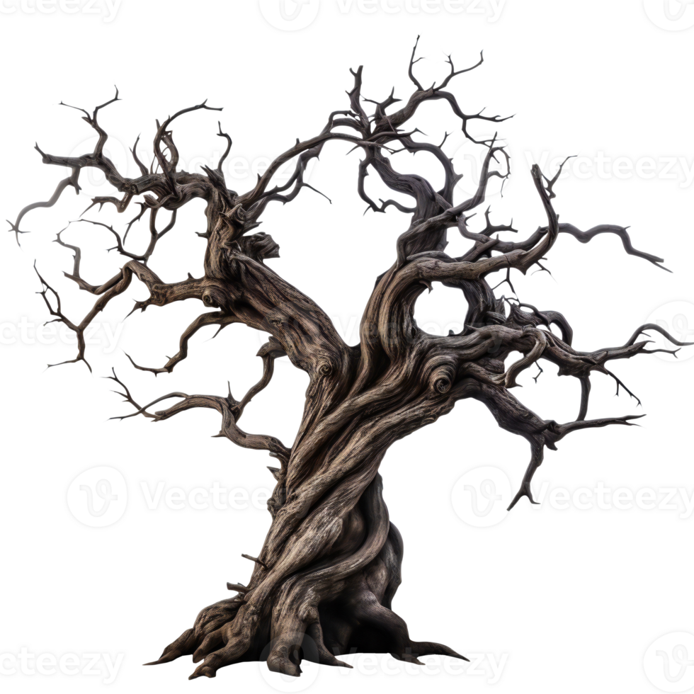 creepy dead tree. old crooked tree. Dry wood Isolated on transparent png