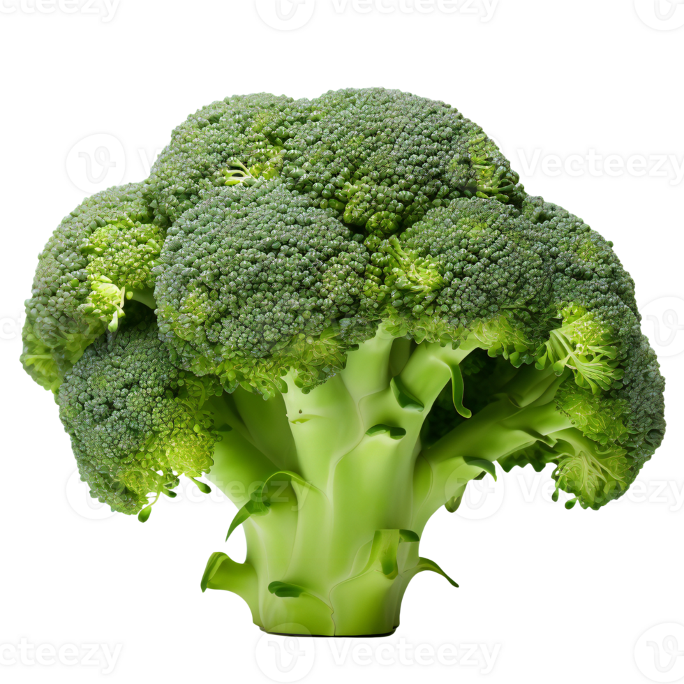 broccoli isolated on transparent. green broccoli png