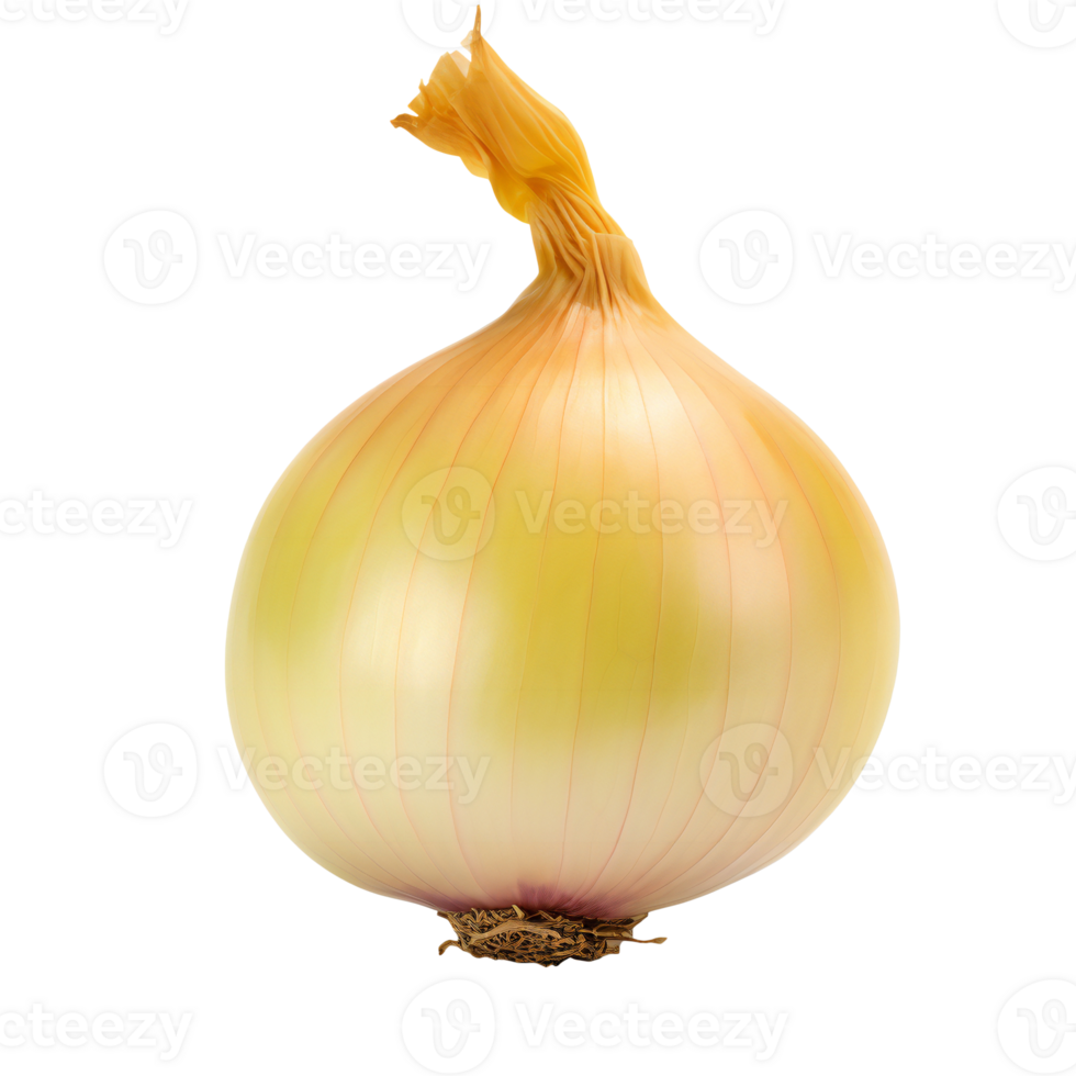Whole yellow onion with delicate skin texture, isolated on transparent png
