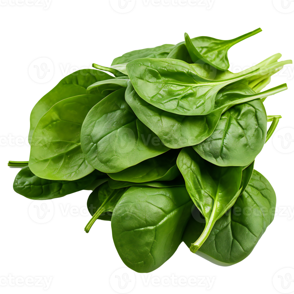 Fresh spinach leaves. few fresh green leaves of Spinach isolated on transparent png