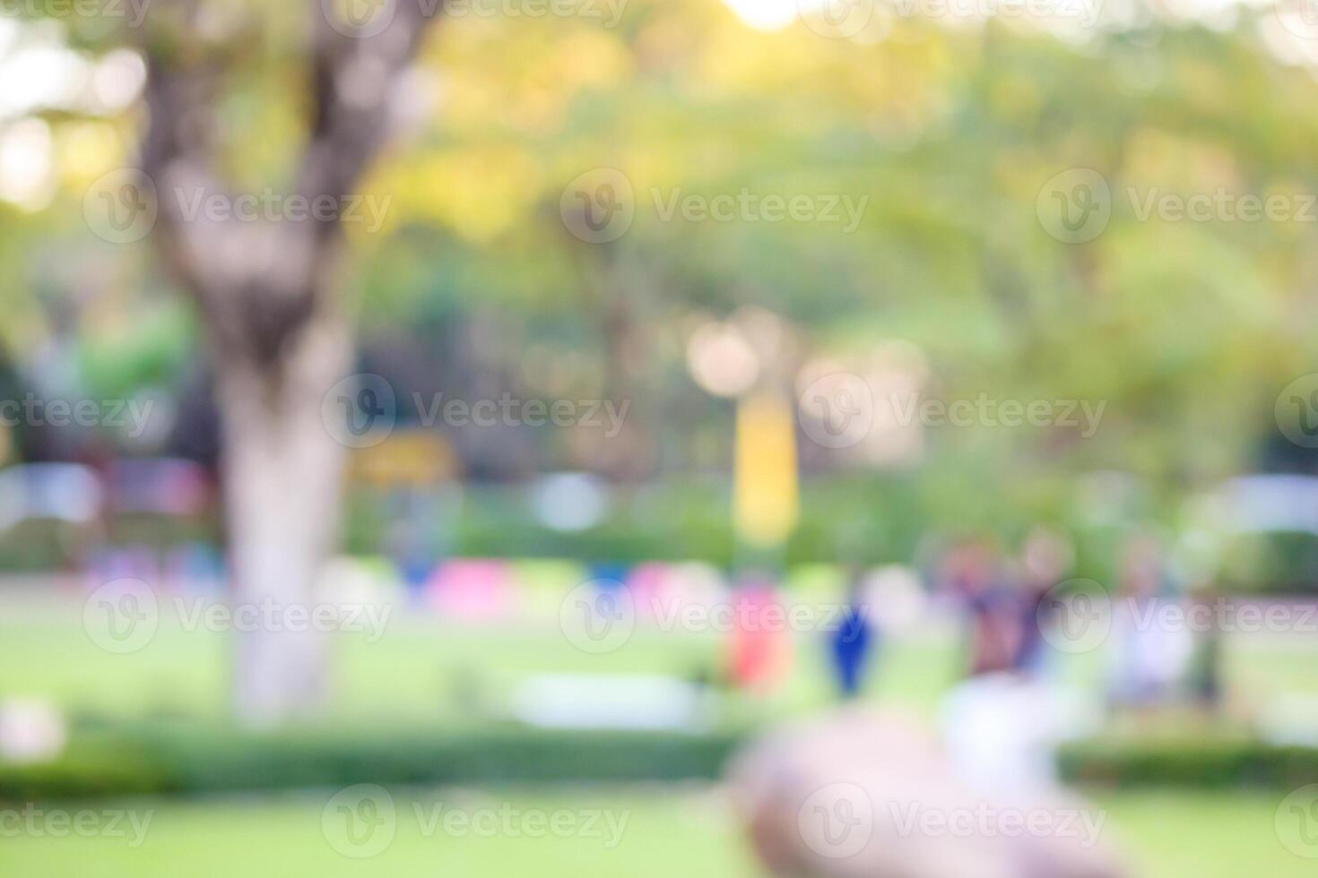 Green city park garden blur bokeh background photo