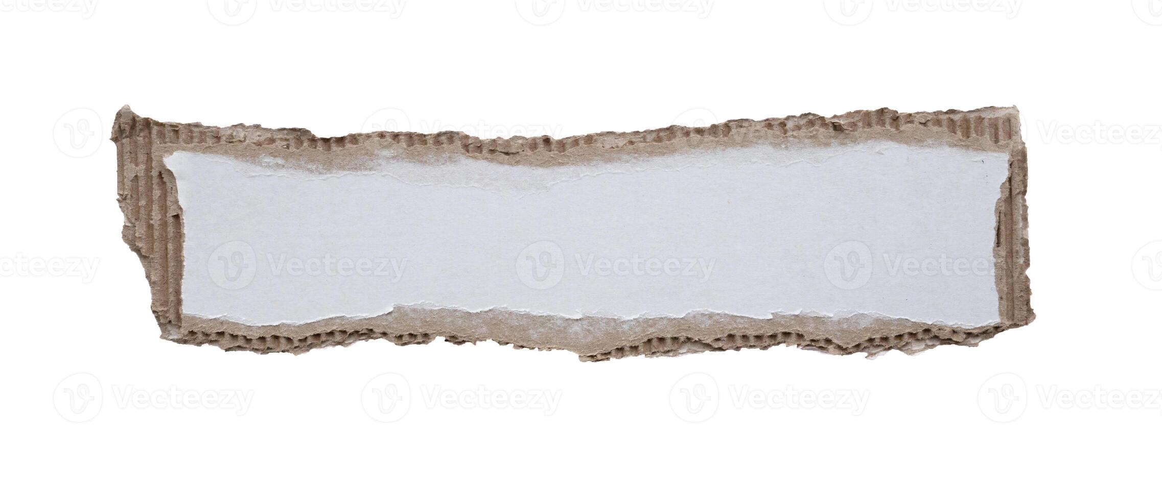 piece of white paper tear isolated on white background photo