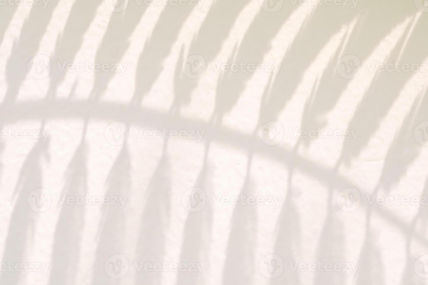 Abstract natural tree leaves shadow on white wall background photo