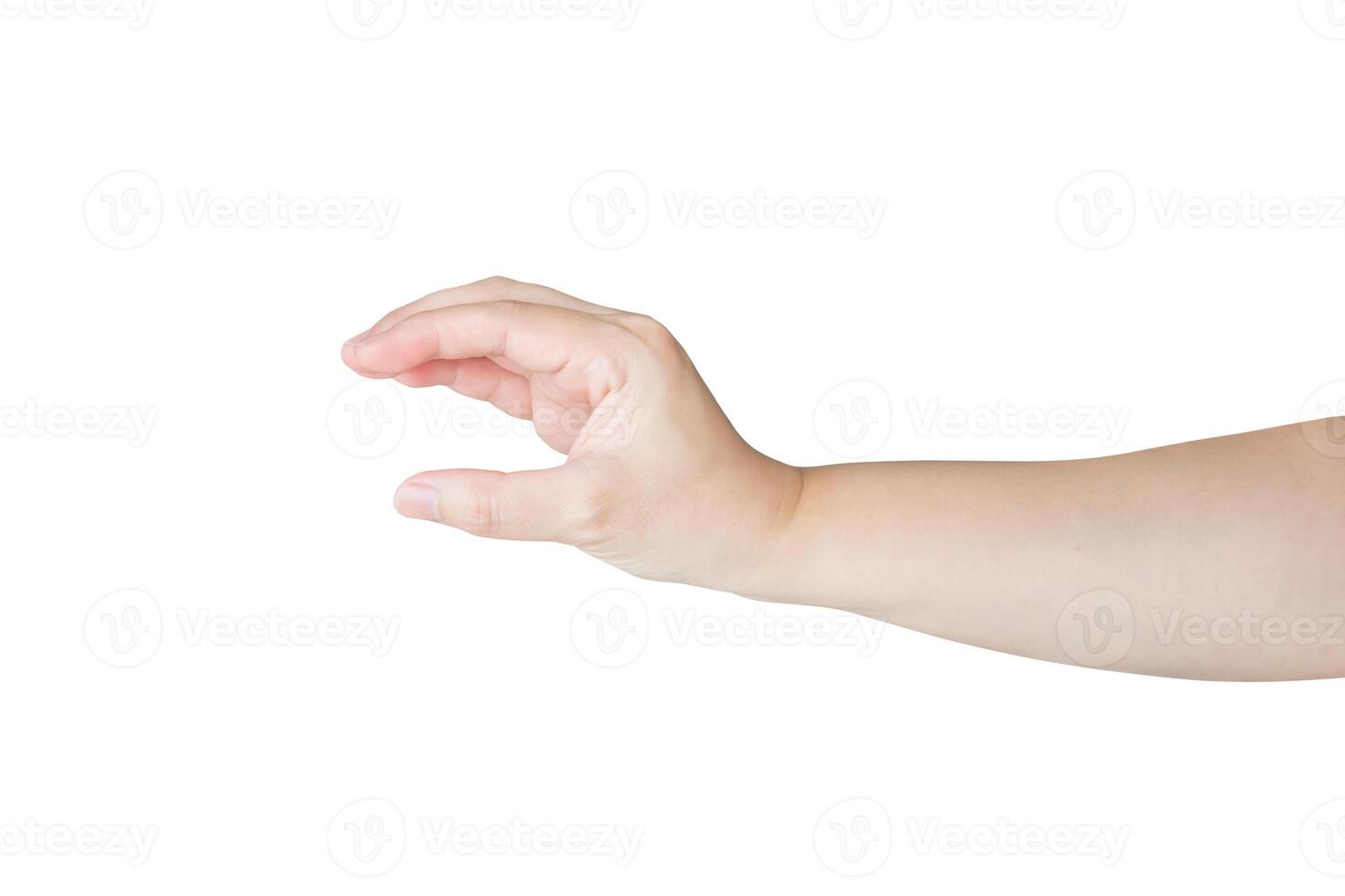Woman hand gesture holding something isolated on white background photo
