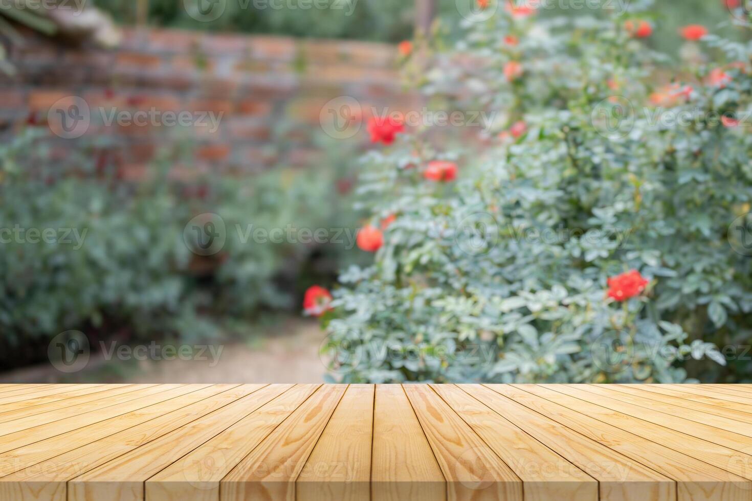 Empty wood table top with blur rose garden background for product display photo