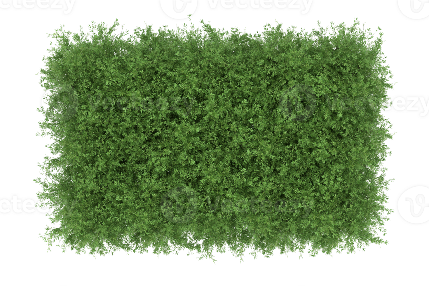 A realistic 3D rendering of the green plant that covered the floor. A tiny plant like a grass png