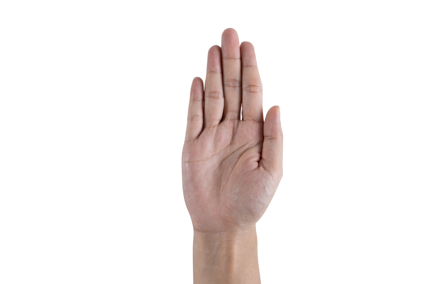 fêmea mão em branco fundo. mulher mão, branco isolado fundo. png