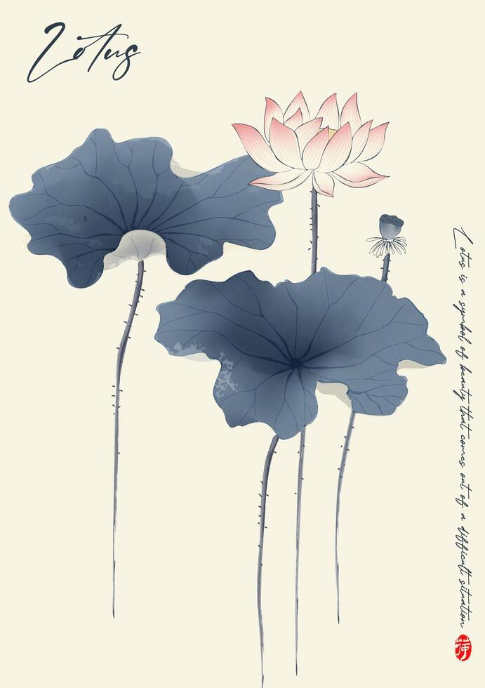 Ink illustrations of lotus flowers in full bloom vector