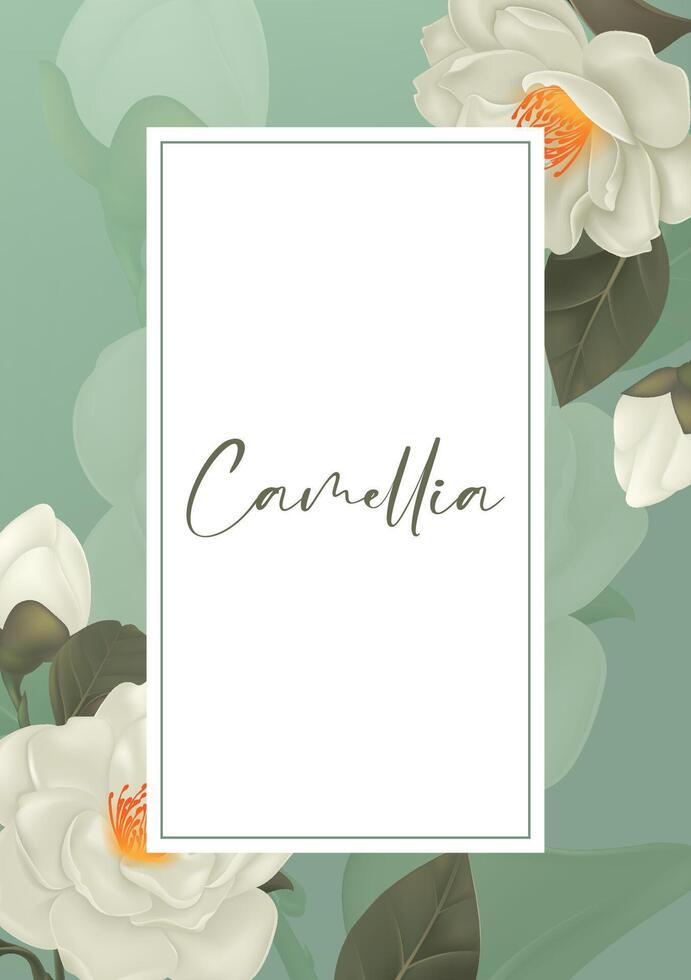 Blooming white camellia illustration design template vector