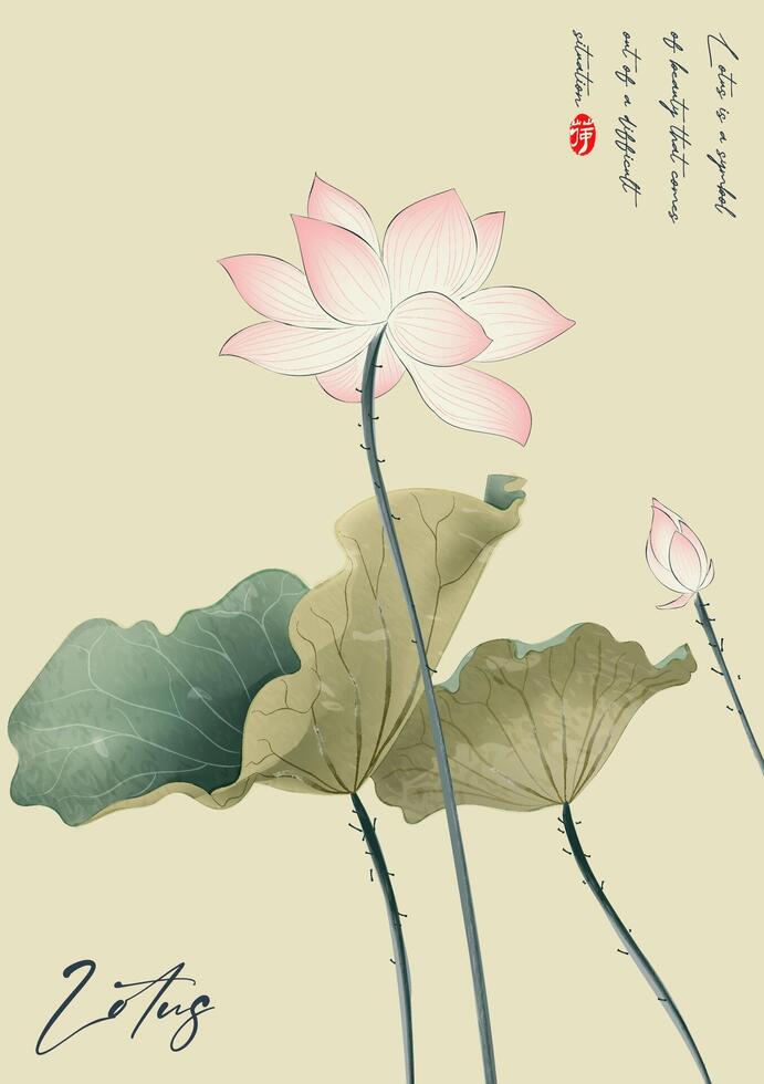 Ink illustrations of lotus flowers in full bloom vector