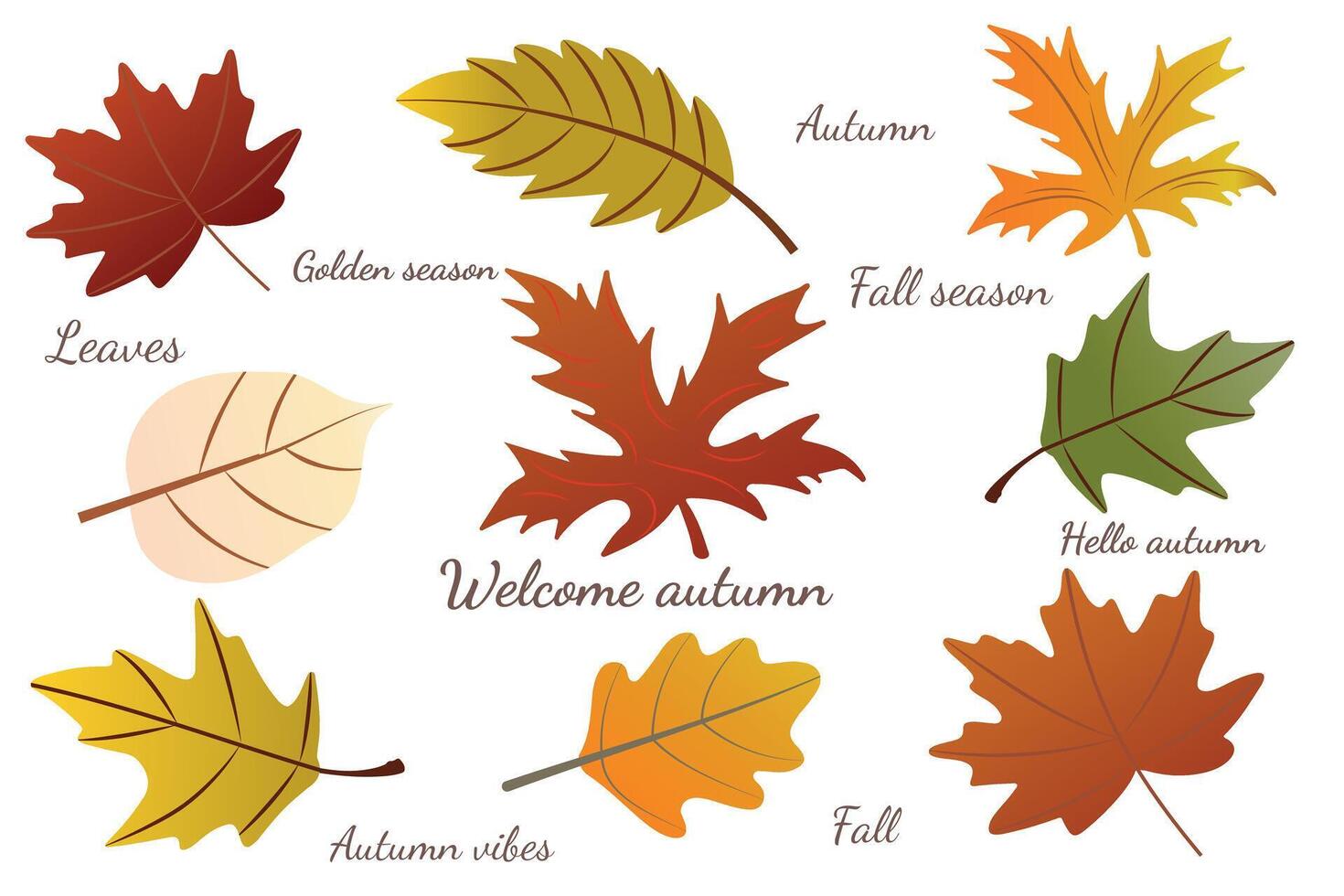Simple set of seasonal autumn leaves with lettering. Autumn set of hand drawn cute cozy design elements. Autumn, Thanksgiving, autumn season. vector
